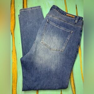 Soft Surroundings Blue Straight Denim Jeans